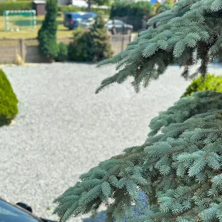 منزل للإقامة Goscinne Beatka