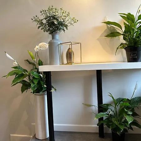 Goscinne Beatka منزل للإقامة