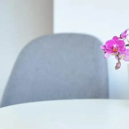 Goscinne Beatka Władysławowo