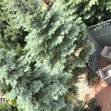 Goscinne Beatka Rum i privatbostad Władysławowo